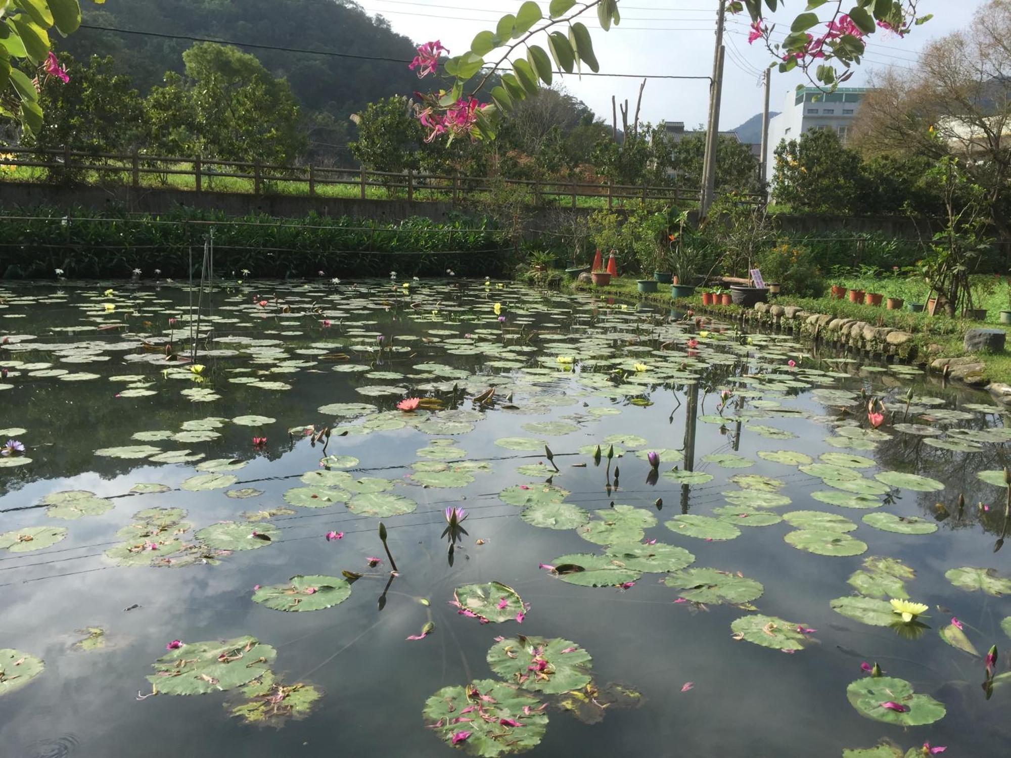 Yu Ho Yuan Lesiure Homestay 南庄郷 エクステリア 写真