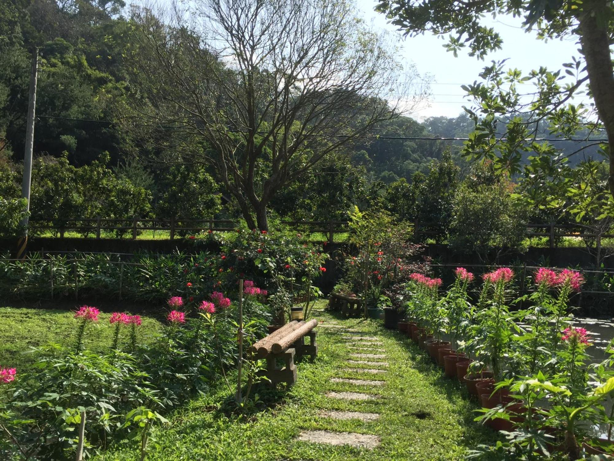 Yu Ho Yuan Lesiure Homestay 南庄郷 エクステリア 写真