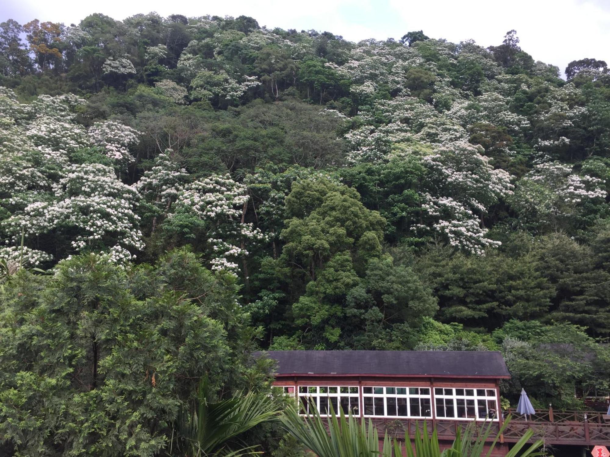 Yu Ho Yuan Lesiure Homestay 南庄郷 エクステリア 写真